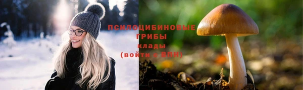 мяу мяу мука Аркадак