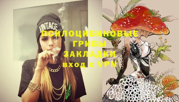 мяу мяу мука Аркадак