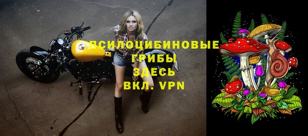 МДПВ Арсеньев