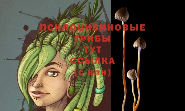 МДПВ Арсеньев
