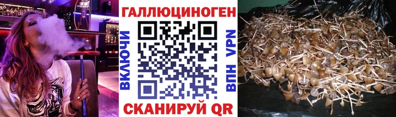 Галлюциногенные грибы MAGIC MUSHROOMS  магазин продажи наркотиков  Ухта 